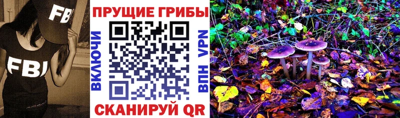 Галлюциногенные грибы мухоморы Южноуральск